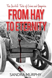 Capa do artigo From Hay To Eternity