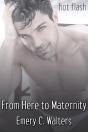 From Here To Maternity - Preview