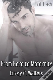 Capa do artigo From Here To Maternity
