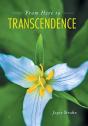 From Here To Transcendence - Preview
