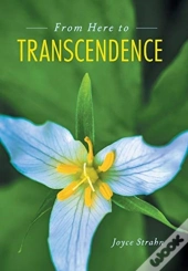 From Here To Transcendence