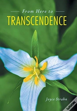 Capa do artigo From Here To Transcendence