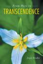 From Here To Transcendence - Preview