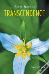 From Here To Transcendence
