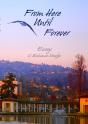 From Here Until Forever - Preview
