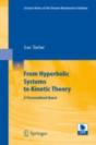 From Hyperbolic Systems To Kinetic Theory - Preview