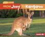 From Joey To Kangaroo - Preview
