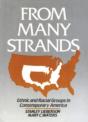 From Many Strands - Preview