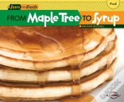 Capa do artigo From Maple Tree To Syrup