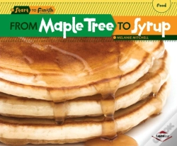 Capa do artigo From Maple Tree To Syrup