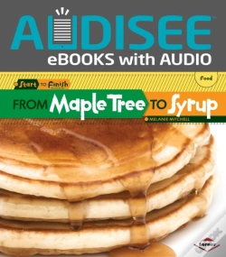 Capa do artigo From Maple Tree To Syrup