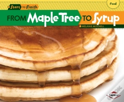 Capa do artigo From Maple Tree To Syrup