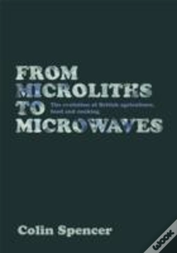 Capa do artigo From Microliths To Microwaves