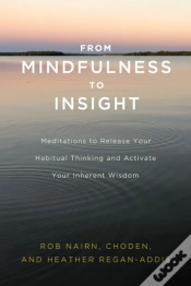 Capa do artigo From Mindfulness To Insight