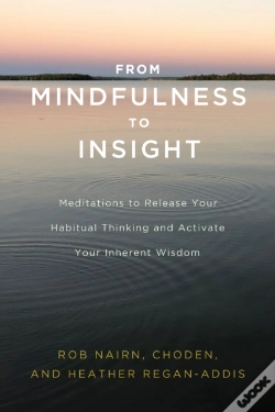 Capa do artigo From Mindfulness To Insight