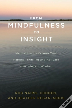 Capa do artigo From Mindfulness To Insight