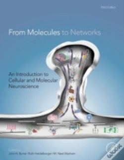 Capa do artigo From Molecules To Networks
