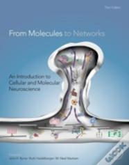 From Molecules To Networks