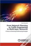 From Network Planning To Traffic Engineering In Multi-Layer Networks