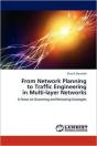 From Network Planning To Traffic Engineering In Multi-Layer Networks - Preview