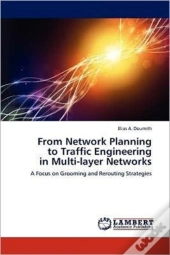 From Network Planning To Traffic Engineering In Multi-Layer Networks