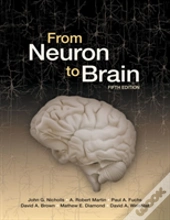 From Neuron To Brain