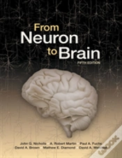 Capa do artigo From Neuron To Brain