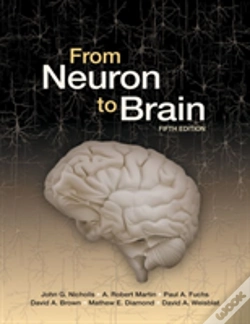 Capa do artigo From Neuron To Brain