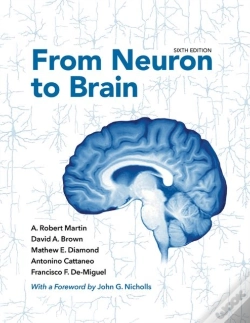 Capa do artigo From Neuron To Brain