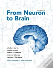 Capa do artigo From Neuron To Brain