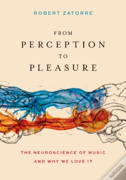 Capa do artigo From Perception To Pleasure