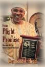 From Plight To Promise - Preview