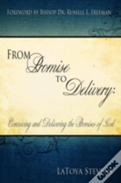 Capa do artigo From Promise To Delivery