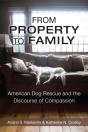 From Property To Family - Preview