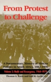 Capa do artigo From Protest To Challenge, Volume 5