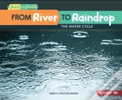 Capa do artigo From River To Raindrop