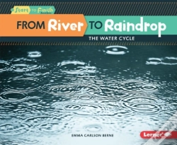 Capa do artigo From River To Raindrop