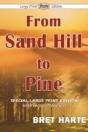 From Sand Hill To Pine (Large Print Edition) - Preview