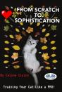 From Scratch To Sophistication - Preview