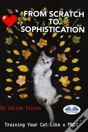 Capa do artigo From Scratch To Sophistication