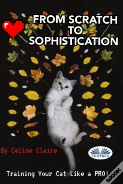 Capa do artigo From Scratch To Sophistication