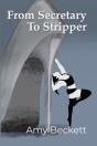 From Secretary To Stripper - Preview