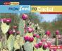 From Seed To Cactus - Preview