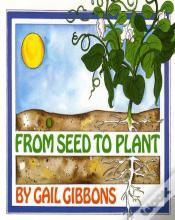 From Seed To Plant