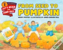 From Seed To Pumpkin