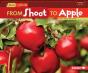 From Shoot To Apple - Preview