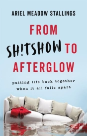 Capa do artigo From Sh!Tshow To Afterglow