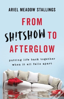 Capa do artigo From Sh!Tshow To Afterglow