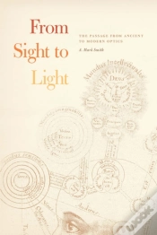 Capa do artigo From Sight To Light