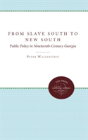 From Slave South To New South - Preview